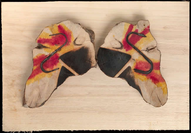 Butterfly - Paint and fire on wood by David Risk Kennard
